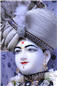 Day 06 - 02 - Darshan (10).jpg
